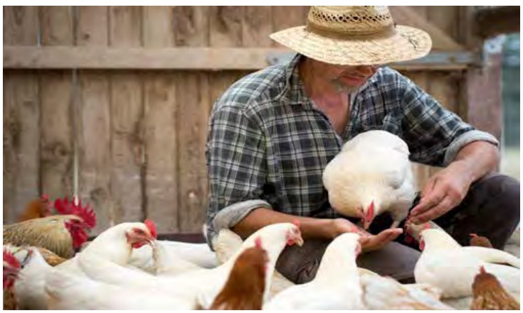 Datei:Jürgen Feller Jahresbericht 2018 Dottenfelderhof.jpg