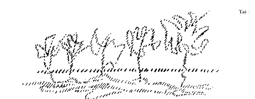 Zeichnung aus GA 327, S. 181