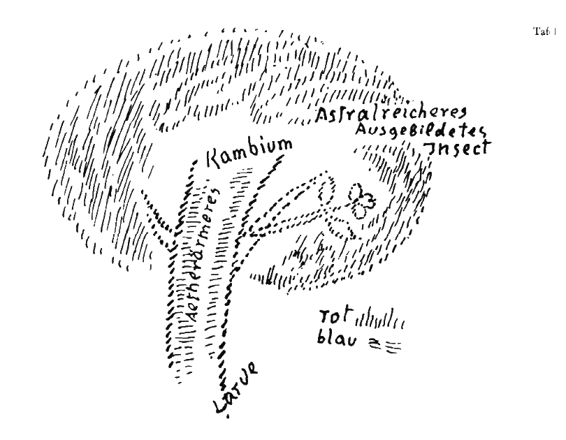 Zeichnung aus GA 327, S. 183