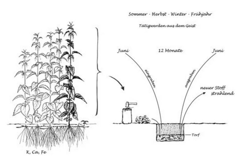 Datei:Abb. 29, S. 401.jpg