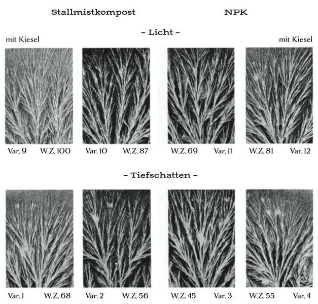 Datei:Abb. 19, S. 320.jpg