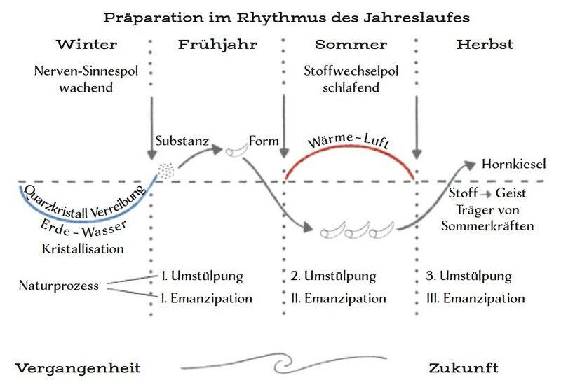 Datei:Abb. 24, S. 348.jpg