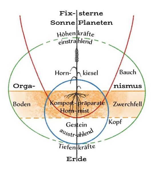 Datei:Abb. 21, S. 327.jpeg