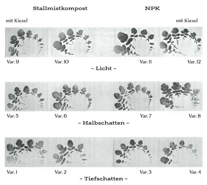 Datei:Abb. 18, S. 316.jpg
