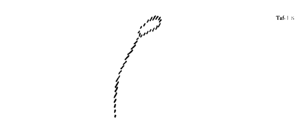 Zeichnung aus GA 327, S. 205