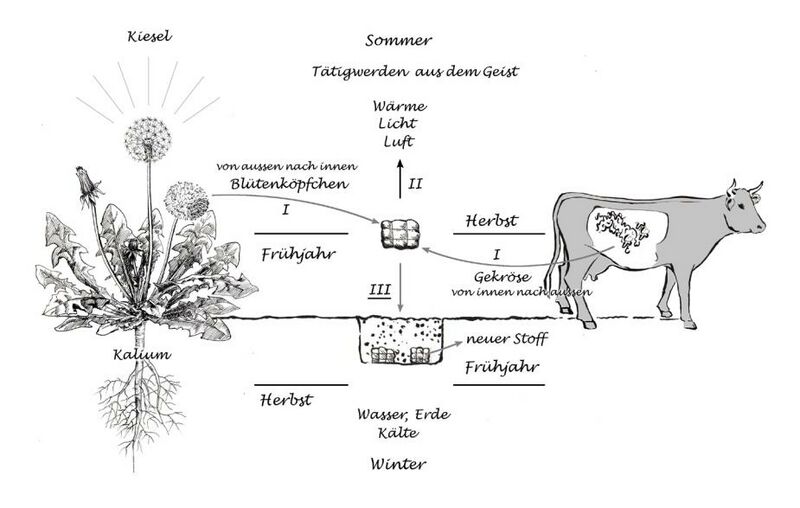 Datei:Abb. 32, S. 423.jpeg