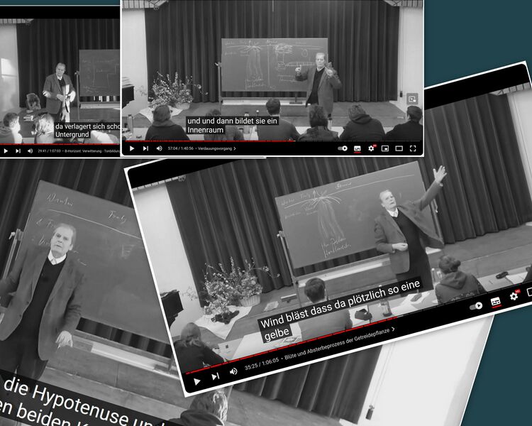 Datei:Bodenentwicklung im Jahreslauf 2018 collage.jpg