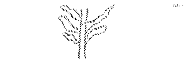 Zeichnung aus GA 327, S. 207