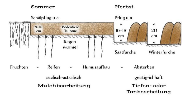 Datei:Abb. 13, S. 222.jpeg